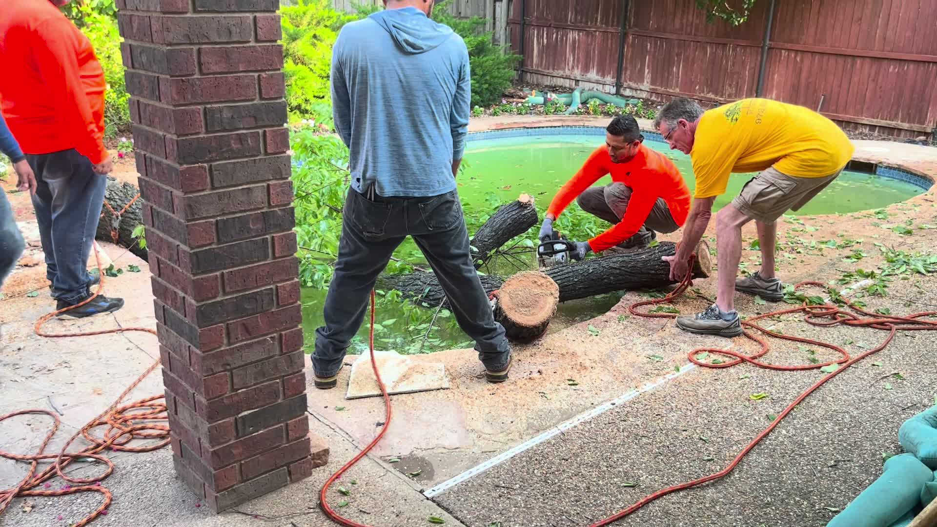 Tree Removal thumbnail